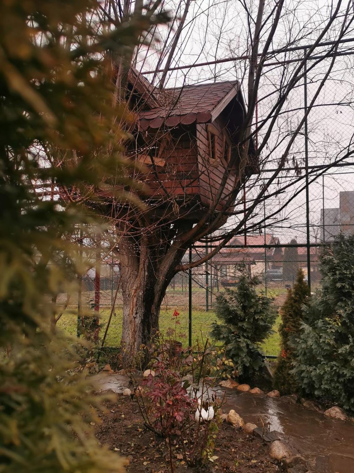Doftana Apartaments Teşila الغرفة الصورة
