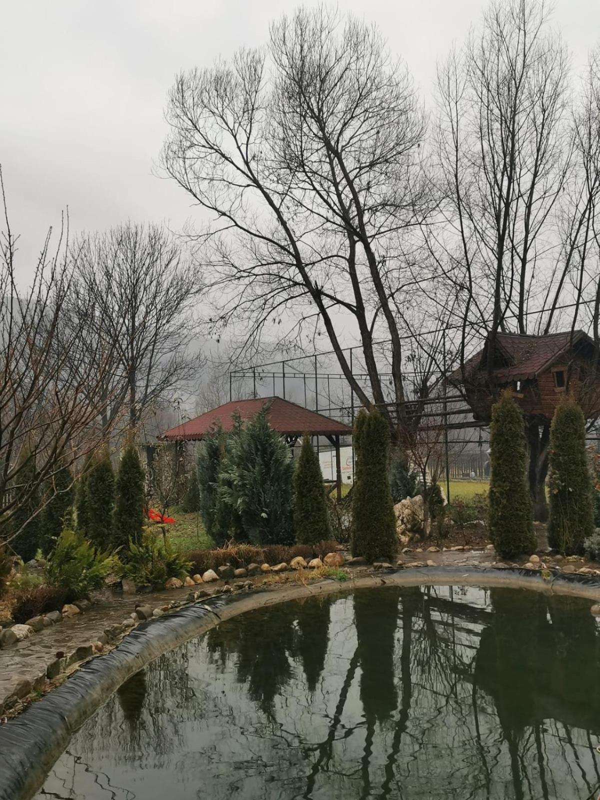 Doftana Apartaments Teşila الغرفة الصورة
